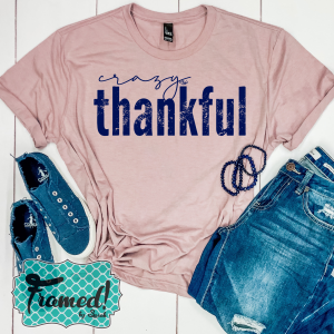 Read more about the article Crazy Thankful – November T-Shirt Club